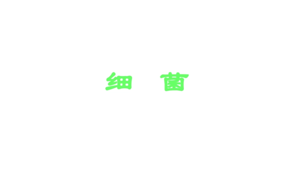 八年级生物上册 第5单元 第4章 细菌和真菌 第二节 细菌课件2 新人教版