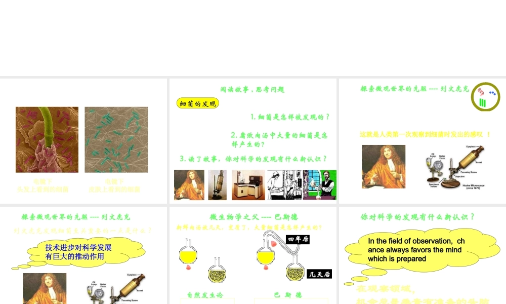 八年级生物上册 第5单元 第4章 细菌和真菌 第二节 细菌课件2 新人教版