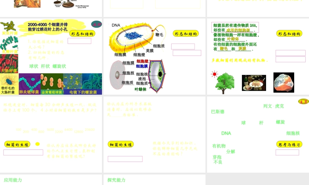 八年级生物上册 第5单元 第4章 细菌和真菌 第二节 细菌课件2 新人教版