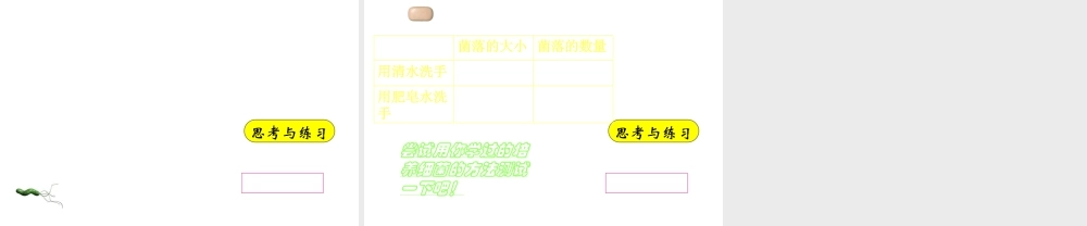 八年级生物上册 第5单元 第4章 细菌和真菌 第二节 细菌课件2 新人教版