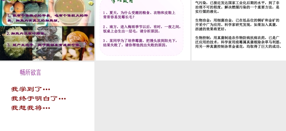 八年级生物上册 第5单元 第4章 细菌和真菌 第三节 真菌课件 新人教版