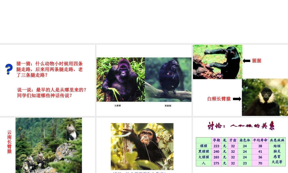 八年级生物上册 第三章 第四节 人类的起源和进化课件 苏教版