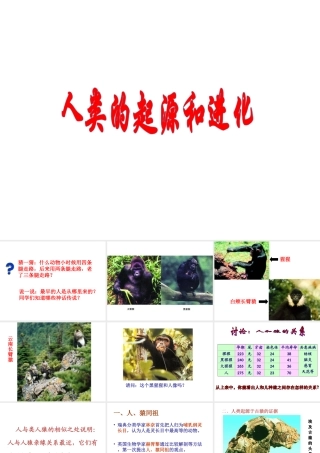 八年级生物上册 第三章 第四节 人类的起源和进化课件 苏教版