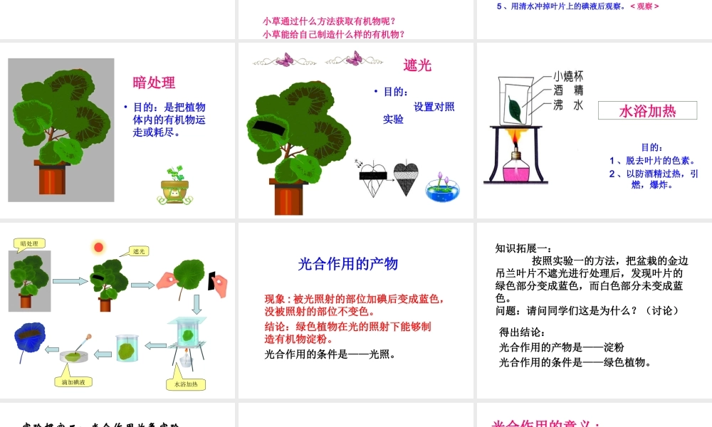 八年级生物上册 第三单元 植物的生活 第三章 叶的光合作用 第一节 光合作用的产物课件 冀教版-冀教级上册生物课件