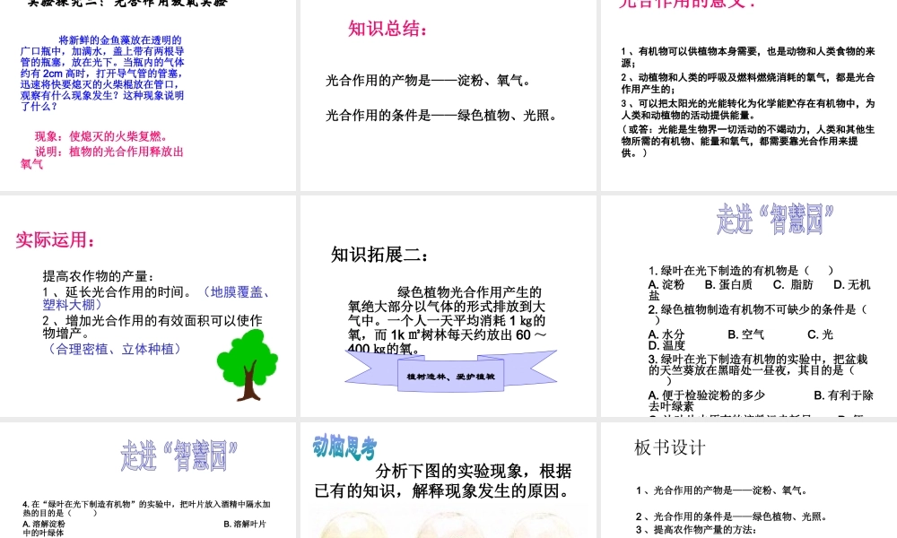八年级生物上册 第三单元 植物的生活 第三章 叶的光合作用 第一节 光合作用的产物课件 冀教版-冀教级上册生物课件