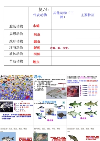 八年级生物上册 第五单元 第一章 第四节 鱼课件 （新版）新人教版-（新版）新人教级上册生物课件