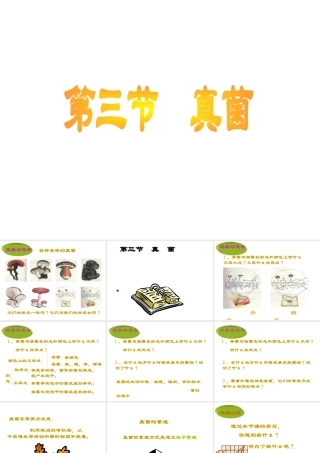 八年级生物上册 第5单元 第4章 细菌和真菌 第三节 真菌课件2 新人教版