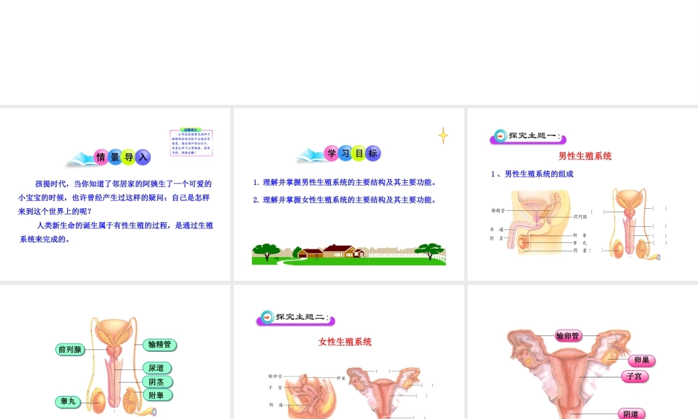 八年级生物上册 第三章 第一节 婴儿的诞生（一）课件 济南版