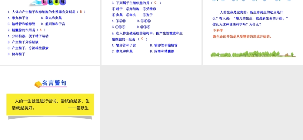 八年级生物上册 第三章 第一节 婴儿的诞生（一）课件 济南版