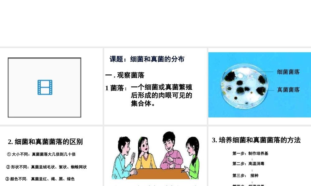 八年级生物上册 第5单元 第4章 细菌和真菌 第一节 细菌和真菌的分布课件1 新人教版