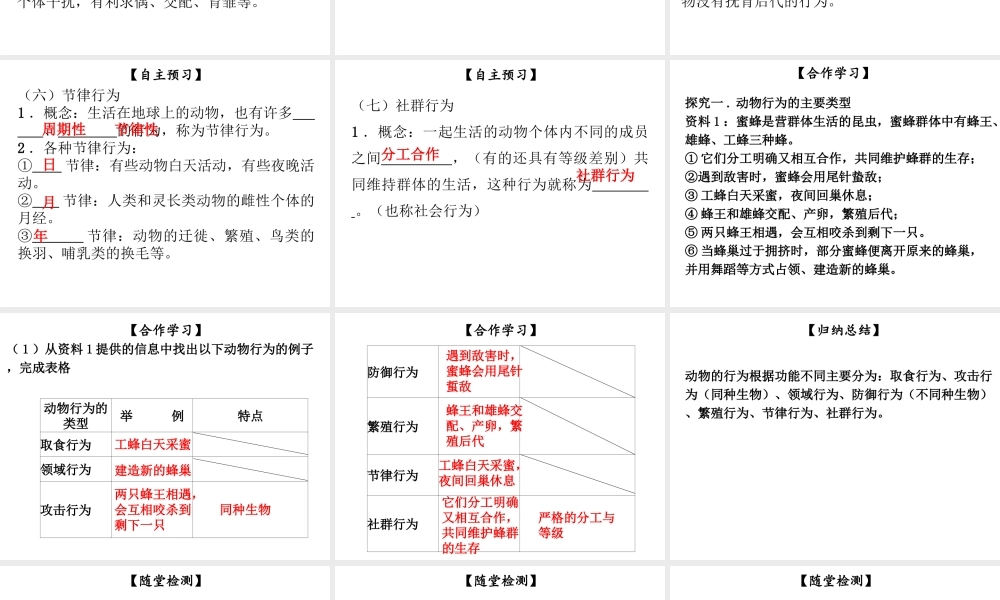 八年级生物上册 第五单元 第16章 第2节 动物行为的主要类型课件 （新版）北师大版-（新版）北师大级上册生物课件