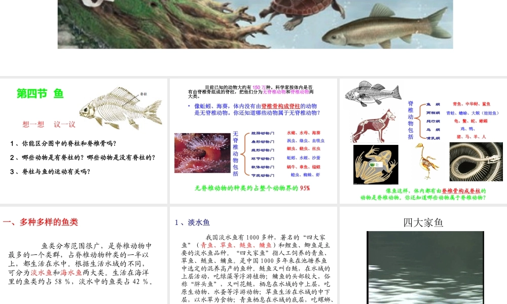 八年级生物上册 第五单元 第一章 第四节 鱼课件 （新版）新人教版