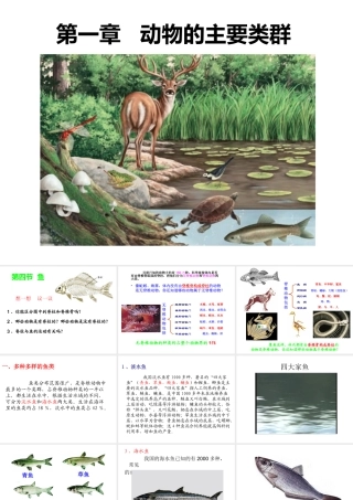 八年级生物上册 第五单元 第一章 第四节 鱼课件 （新版）新人教版