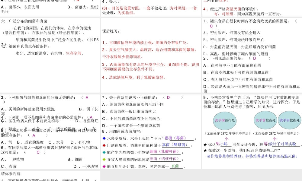八年级生物上册 第5单元 第4章 细菌和真菌 第一节 细菌和真菌的分布课件2 新人教版