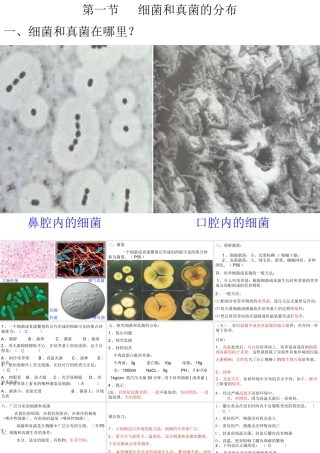 八年级生物上册 第5单元 第4章 细菌和真菌 第一节 细菌和真菌的分布课件2 新人教版
