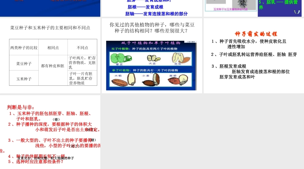 八年级生物上册 第三单元 植物的生活 第一章 种子的萌发和芽的发育 第一节 种子萌发的过程课件 冀教版-冀教级上册生物课件