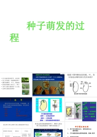 八年级生物上册 第三单元 植物的生活 第一章 种子的萌发和芽的发育 第一节 种子萌发的过程课件 冀教版-冀教级上册生物课件