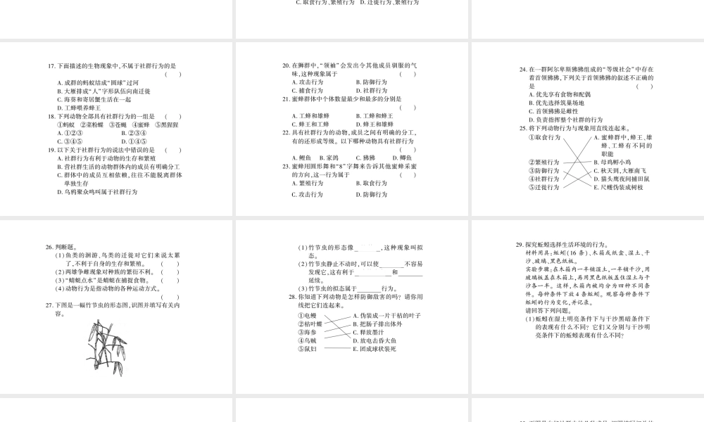 八年级生物上册 第五单元 第16章 第2节 动物行为的主要类型习题课件 （新版）北师大版-（新版）北师大版初中八年级上册生物课件