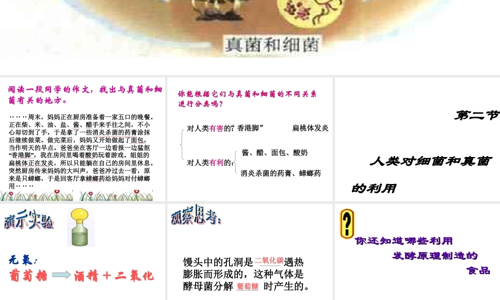 八年级生物上册 第5单元 第5章 病毒 第二节 人类对细菌和真菌的利用课件 新人教版