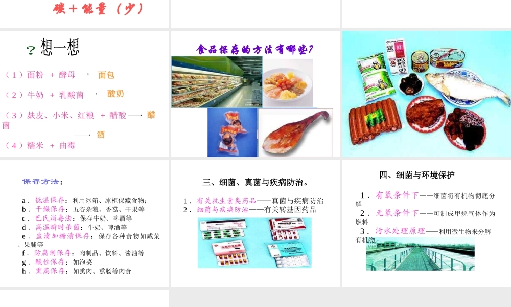 八年级生物上册 第5单元 第5章 病毒 第二节 人类对细菌和真菌的利用课件 新人教版