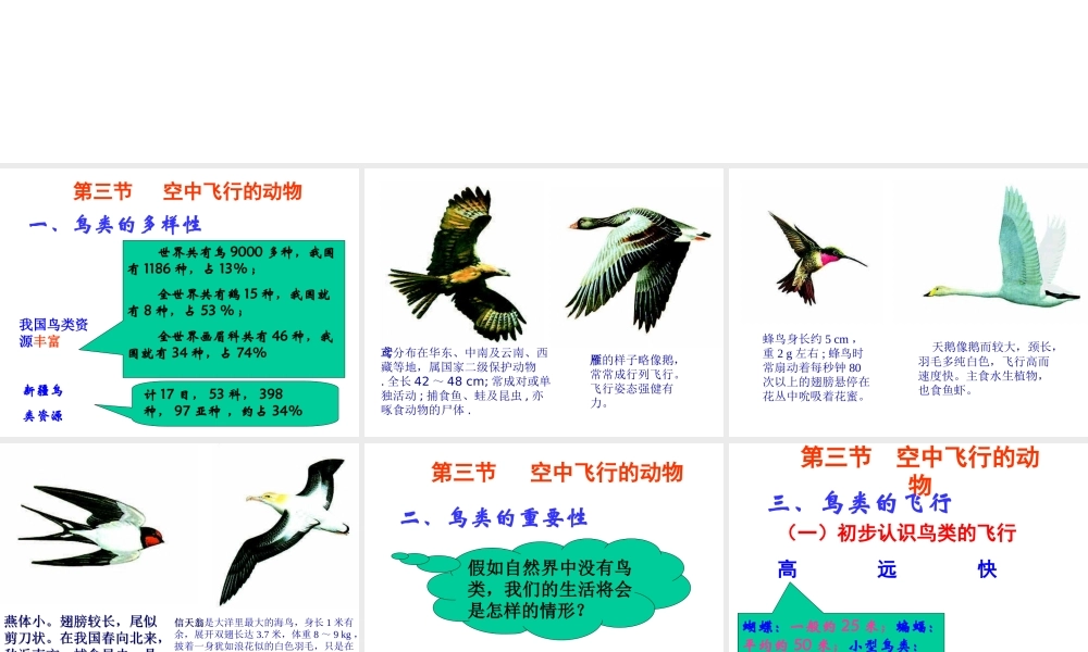 八年级生物上册 第一单元第二节第二课时鸟类课件 人教新课标版