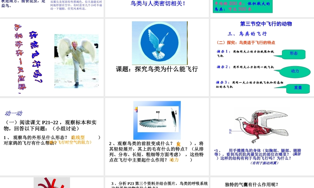 八年级生物上册 第一单元第二节第二课时鸟类课件 人教新课标版