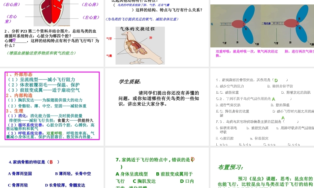 八年级生物上册 第一单元第二节第二课时鸟类课件 人教新课标版