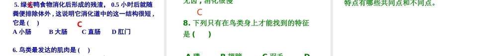 八年级生物上册 第一单元第二节第二课时鸟类课件 人教新课标版