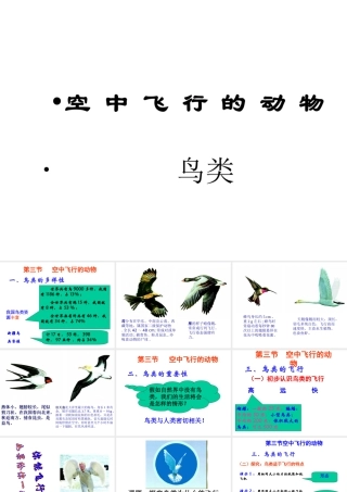 八年级生物上册 第一单元第二节第二课时鸟类课件 人教新课标版