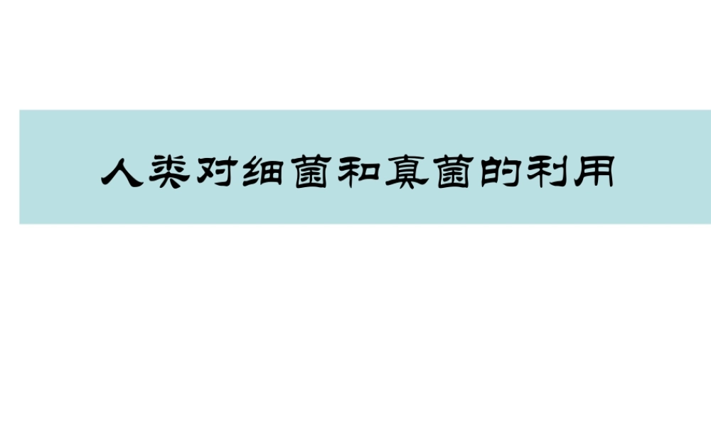 八年级生物上册 第5单元 第5章 病毒 第二节 人类对细菌和真菌的利用课件1 新人教版