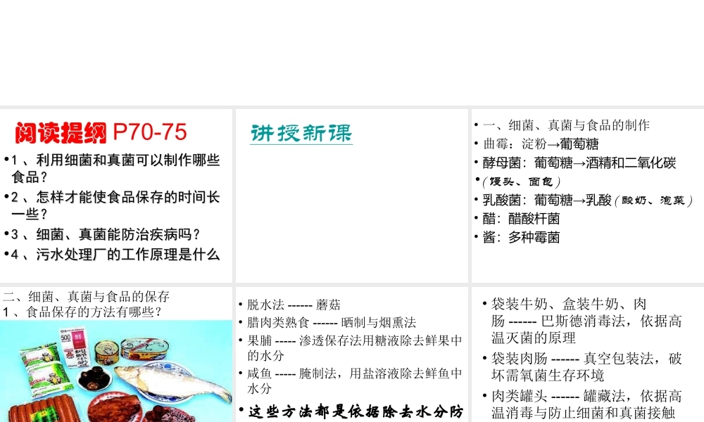 八年级生物上册 第5单元 第5章 病毒 第二节 人类对细菌和真菌的利用课件1 新人教版