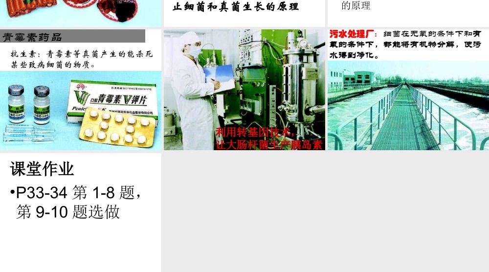 八年级生物上册 第5单元 第5章 病毒 第二节 人类对细菌和真菌的利用课件1 新人教版