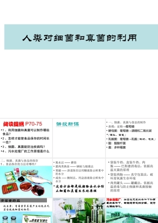 八年级生物上册 第5单元 第5章 病毒 第二节 人类对细菌和真菌的利用课件1 新人教版