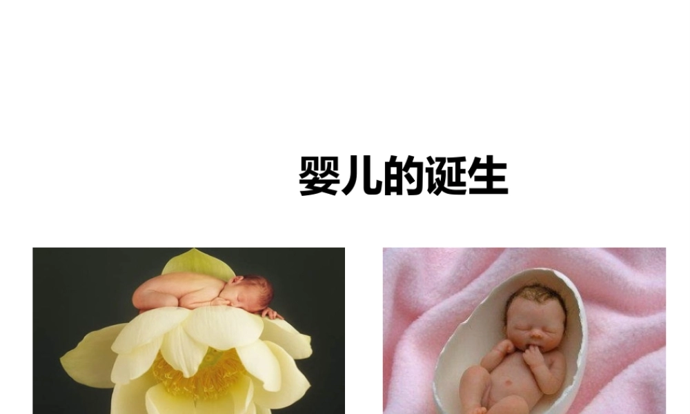 八年级生物上册 第三章 第一节《婴儿的诞生》课件 （新版）济南版