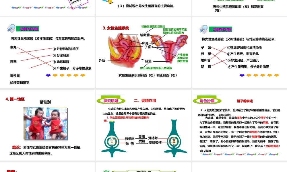 八年级生物上册 第三章 第一节《婴儿的诞生》课件 （新版）济南版