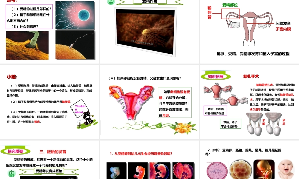 八年级生物上册 第三章 第一节《婴儿的诞生》课件 （新版）济南版