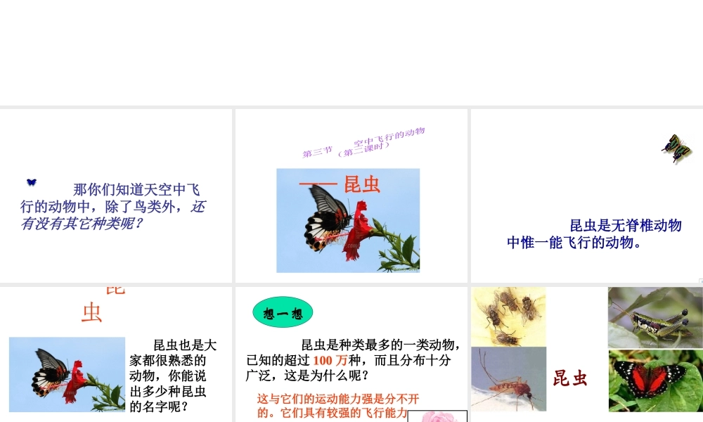 八年级生物上册 第一单元第二节陆地生活的动物课件 人教新课标版