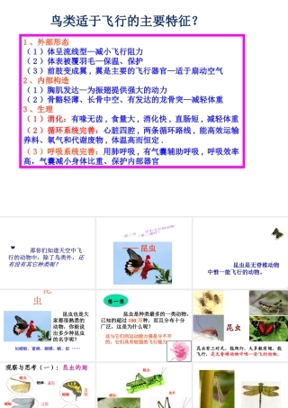 八年级生物上册 第一单元第二节陆地生活的动物课件 人教新课标版