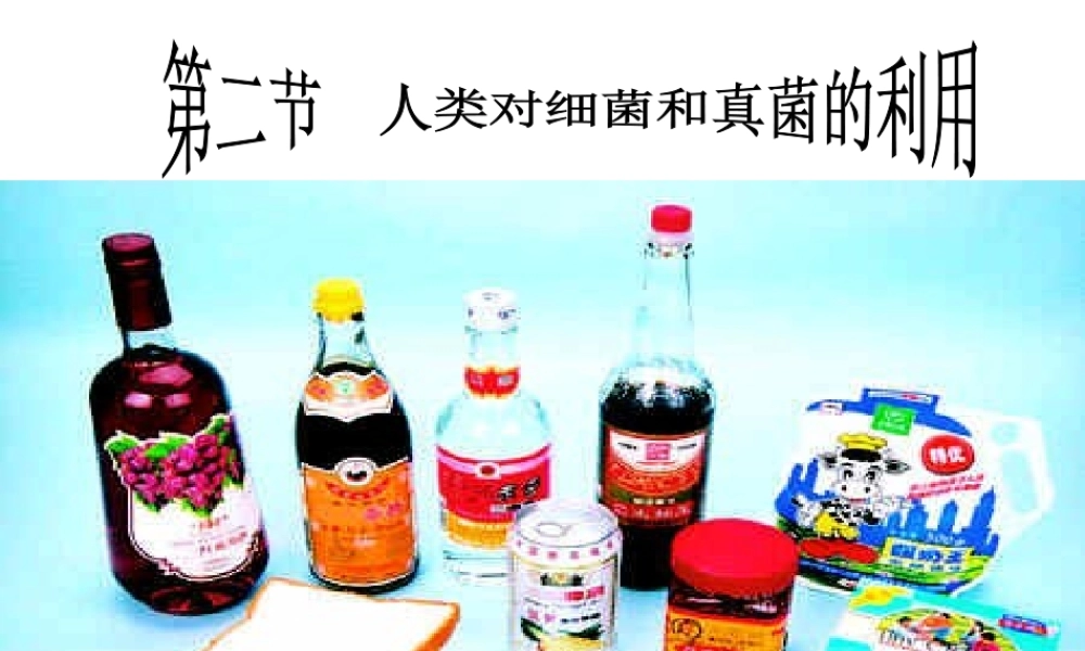 八年级生物上册 第5单元 第5章 病毒 第二节 人类对细菌和真菌的利用课件2 新人教版