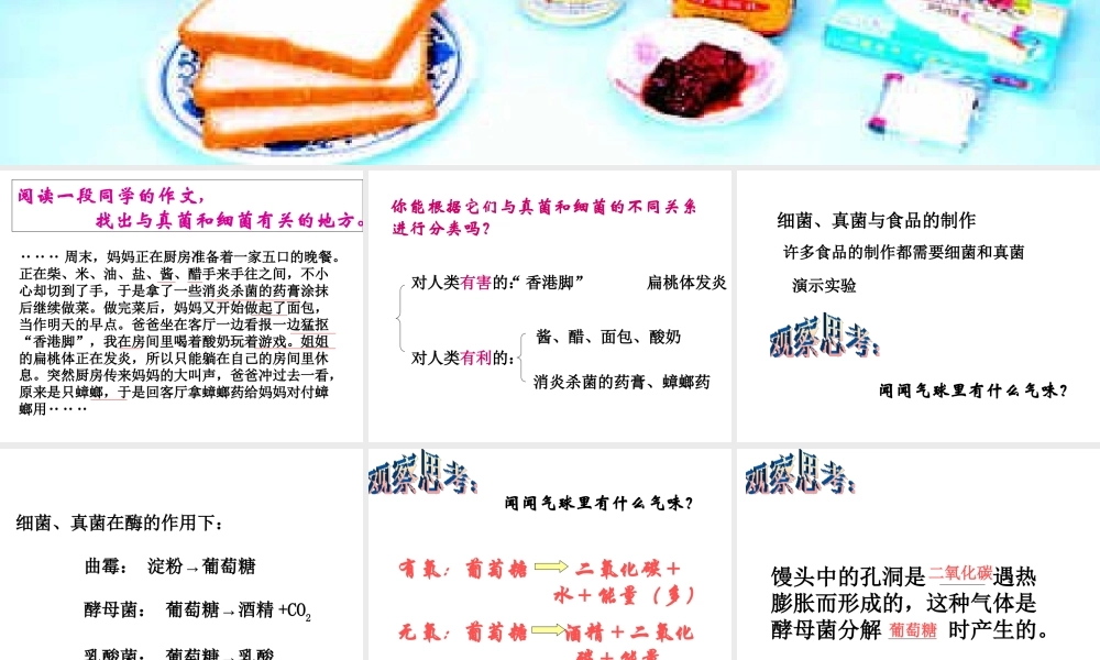 八年级生物上册 第5单元 第5章 病毒 第二节 人类对细菌和真菌的利用课件2 新人教版