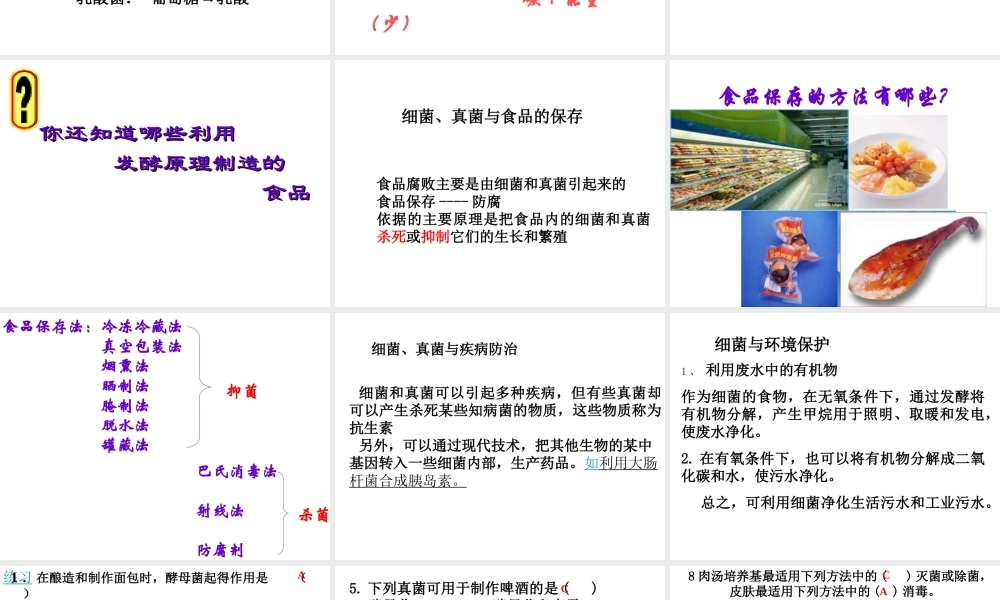 八年级生物上册 第5单元 第5章 病毒 第二节 人类对细菌和真菌的利用课件2 新人教版