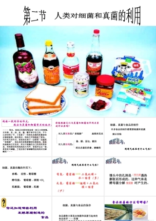 八年级生物上册 第5单元 第5章 病毒 第二节 人类对细菌和真菌的利用课件2 新人教版