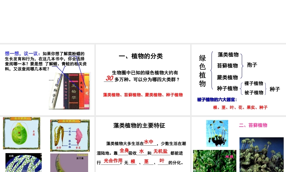 八年级生物上册 第一节 尝试对生物进行分类课件 新人教版