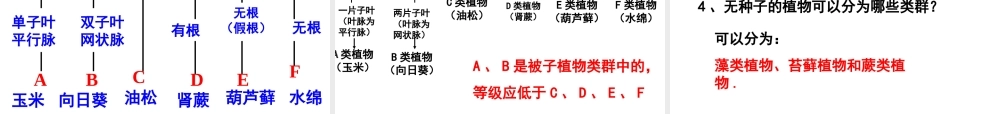 八年级生物上册 第一节 尝试对生物进行分类课件 新人教版