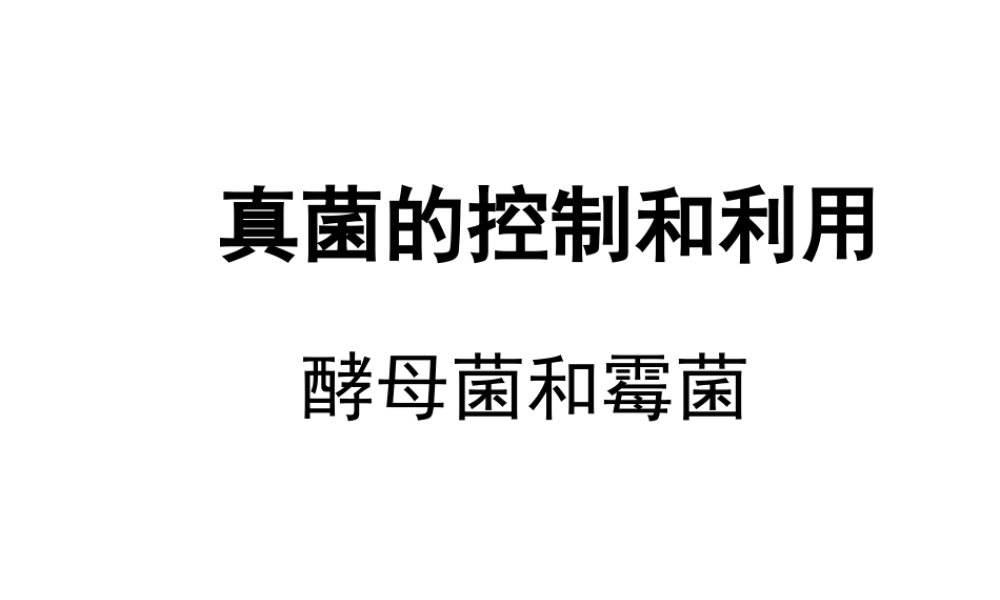 八年级生物上册 第5单元 第5章 病毒 第一节 细菌和真菌在自然界中的作用课件1 新人教版
