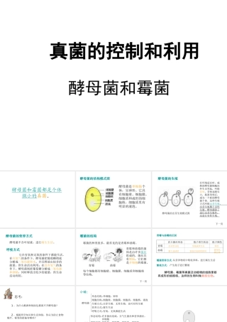 八年级生物上册 第5单元 第5章 病毒 第一节 细菌和真菌在自然界中的作用课件1 新人教版