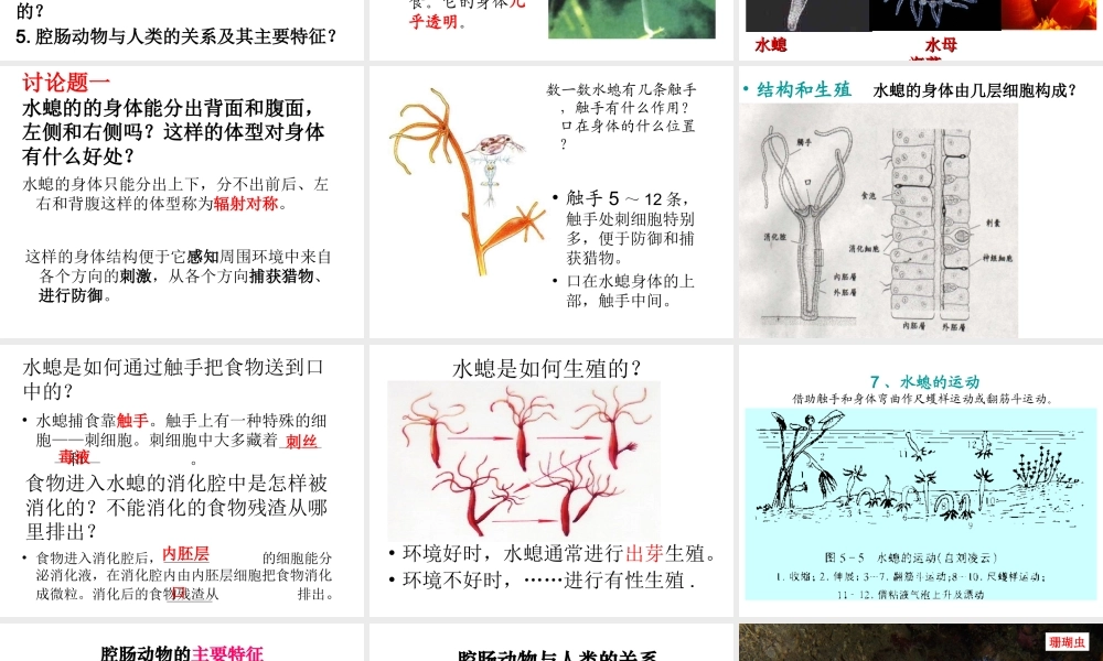 八年级生物上册 第一节 腔肠动物和扁形动物课件 （新版）新人教版