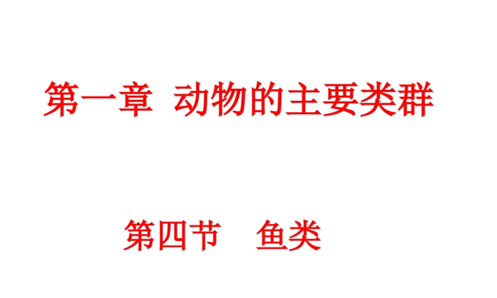 八年级生物上册 第五单元 第一章 第四节 鱼类课件 （新版）新人教版