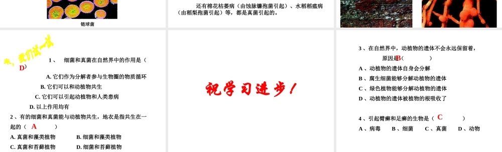八年级生物上册 第5单元 第5章 病毒 第一节 细菌和真菌在自然界中的作用课件2 新人教版
