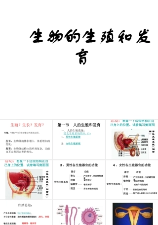 八年级生物上册 第一节 人的生殖和发育（第1课时）课件 北师大版